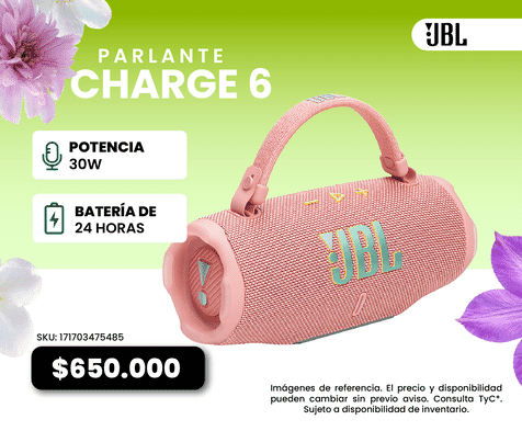 JBL Parlante Charge 6